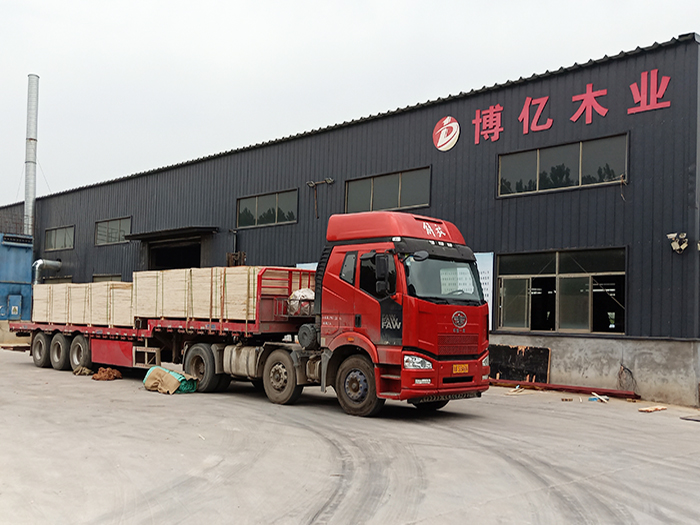 公司展示